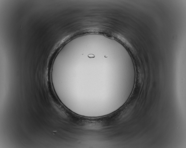 X0000086720486200705041330