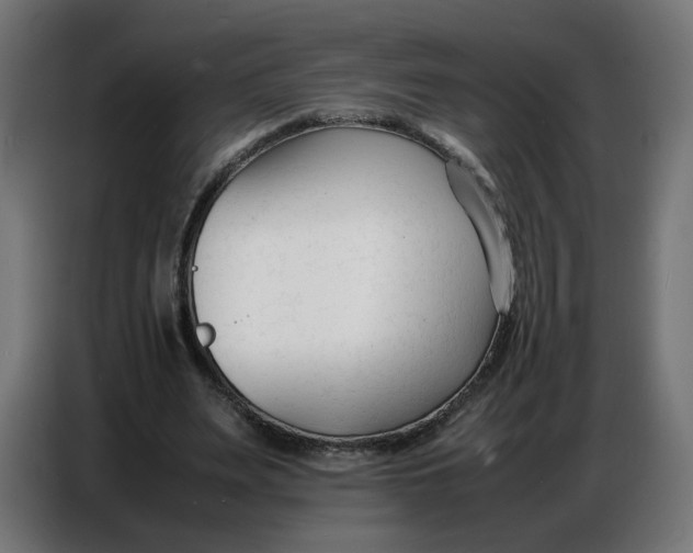 X0000086720487200705041330