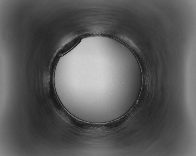X0000086720488200705041330