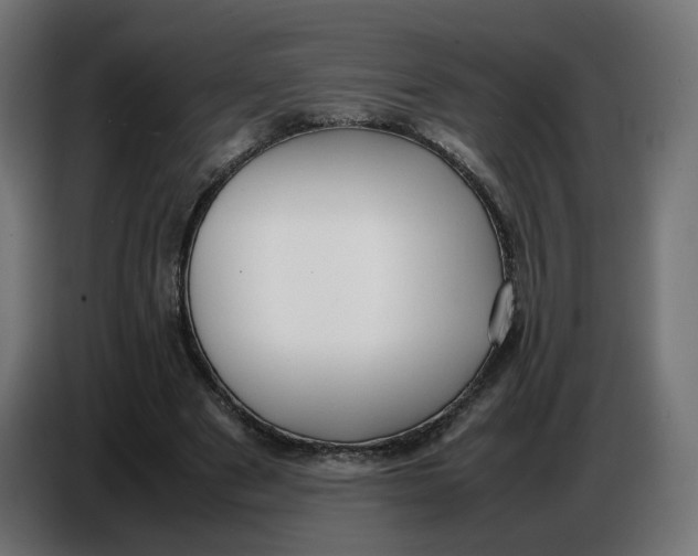 X0000086720489200705041330