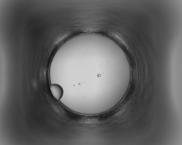 X0000086720491200705041330