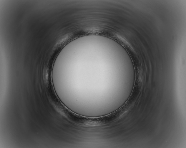 X0000086720494200705041330