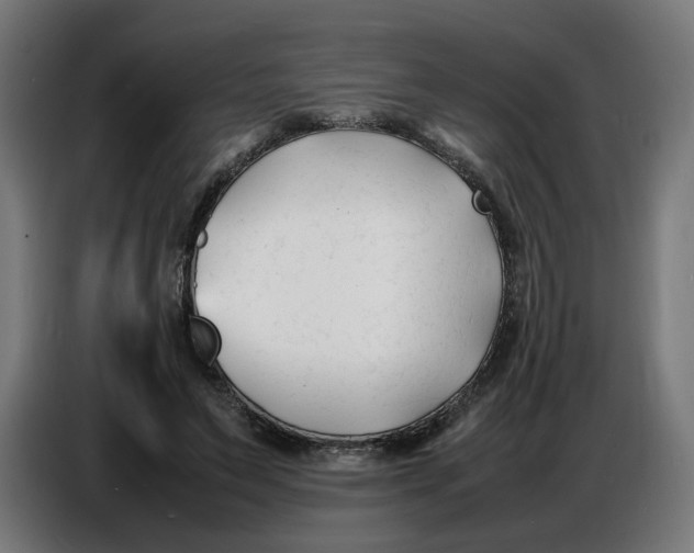 X0000086720495200705041330