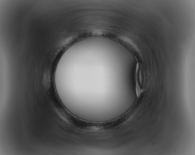 X0000086720496200705041330