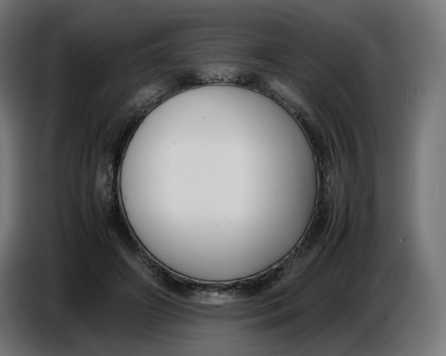 X0000086720498200705041330