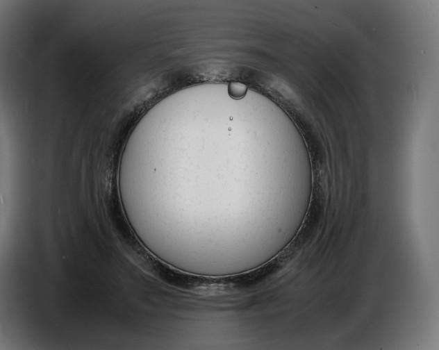 X0000086720499200705041330