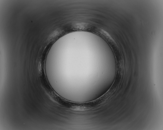 X0000086720500200705041330