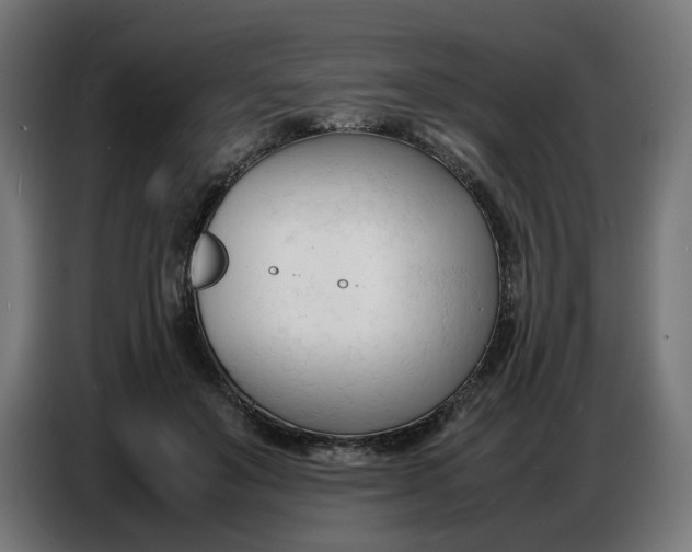 X0000086720503200705041330