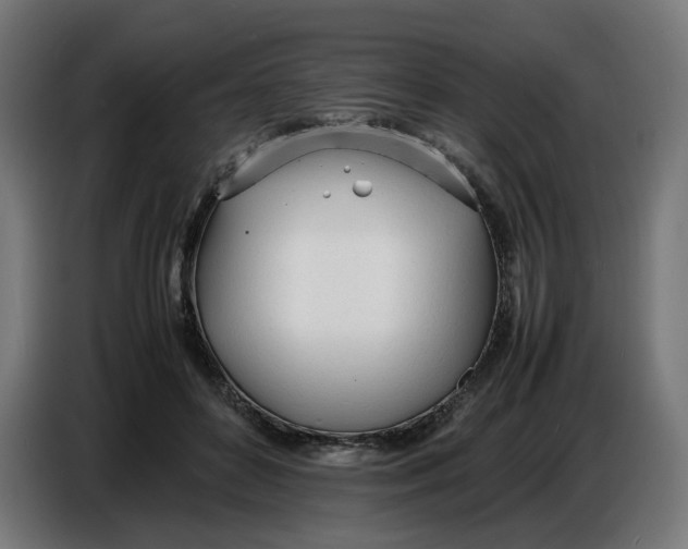 X0000086720504200705041330