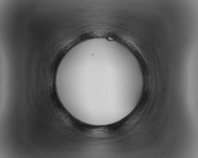 X0000086720505200705041330