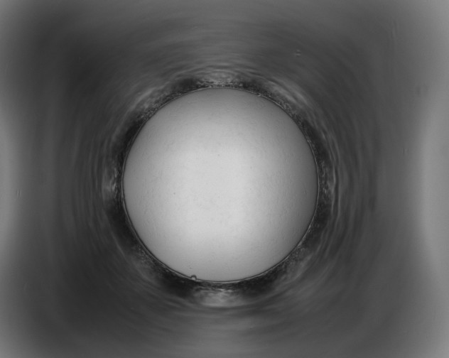 X0000086720507200705041330
