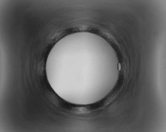 X0000086720509200705041330