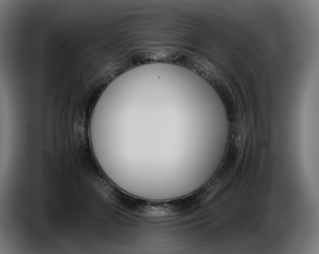 X0000086720510200705041330