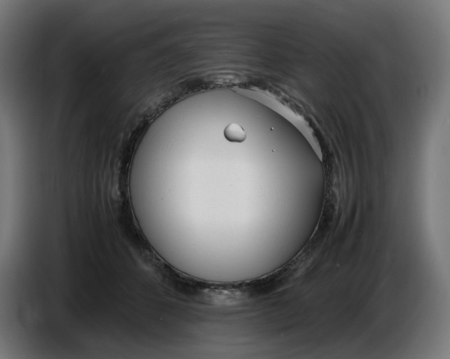 X0000086720512200705041330
