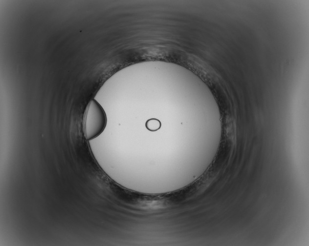 X0000086720514200705041330