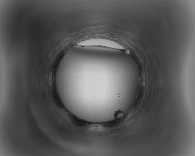 X0000086720519200705041330