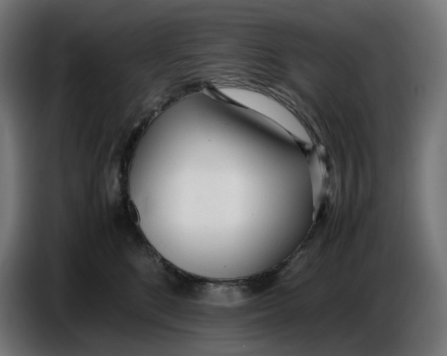 X0000086720520200705041330