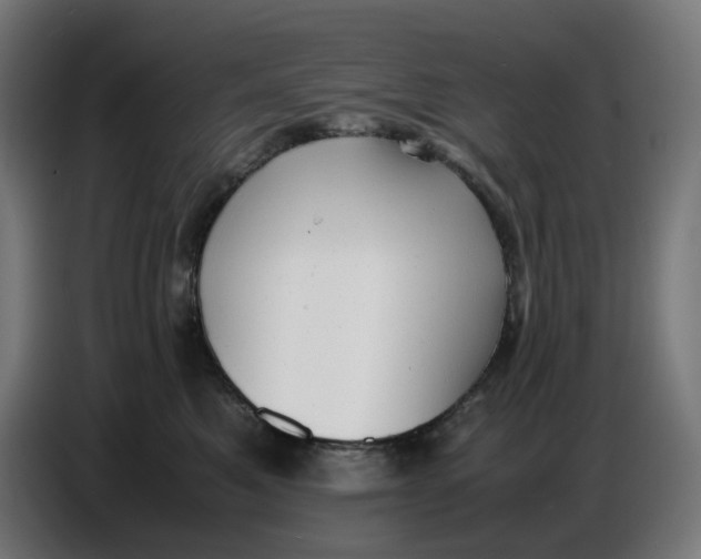 X0000086720521200705041330