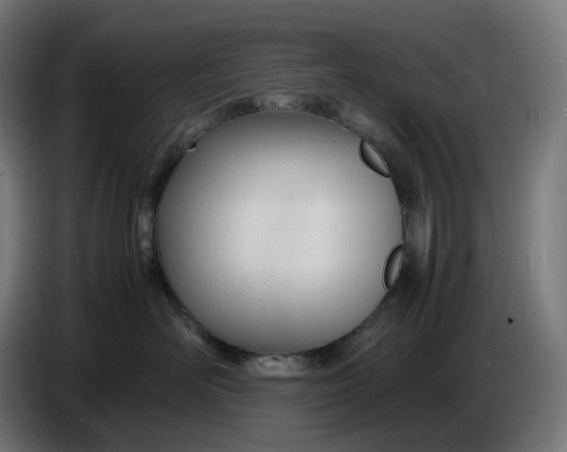 X0000086720526200705041330