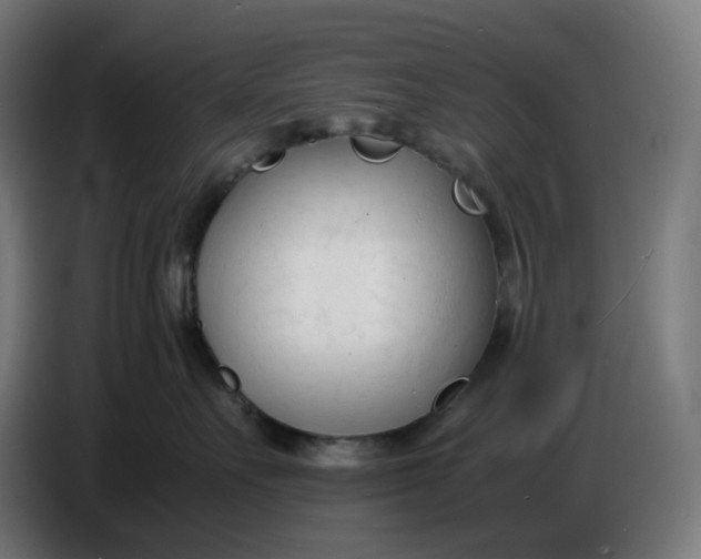 X0000086720527200705041330