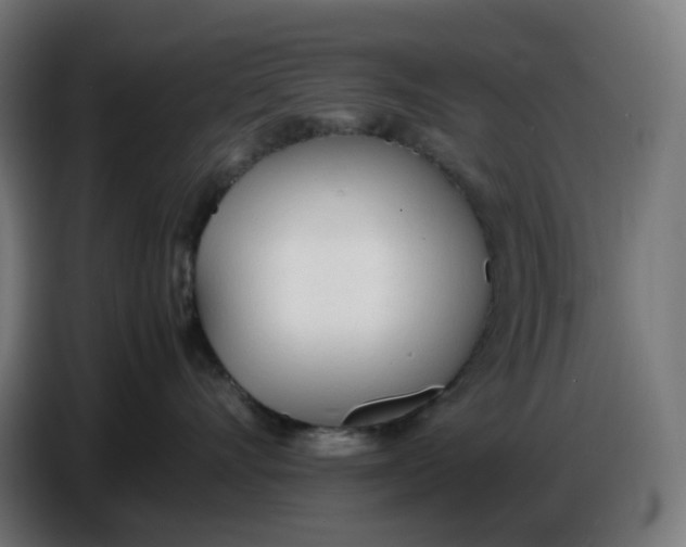 X0000086720528200705041330