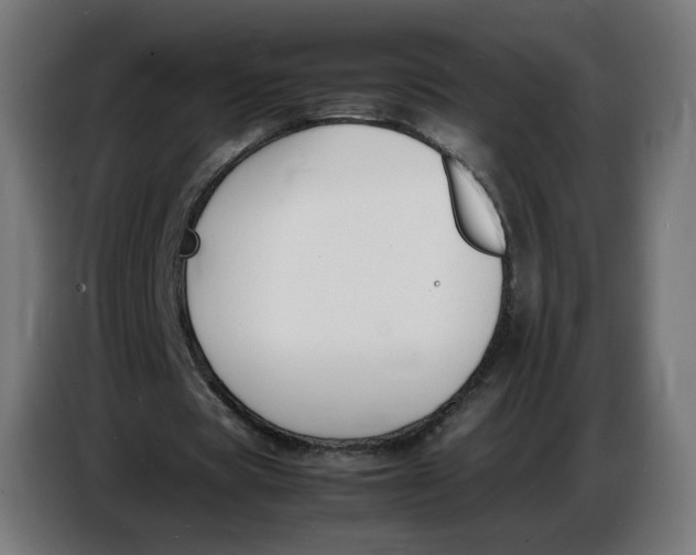 X0000086720529200705041329