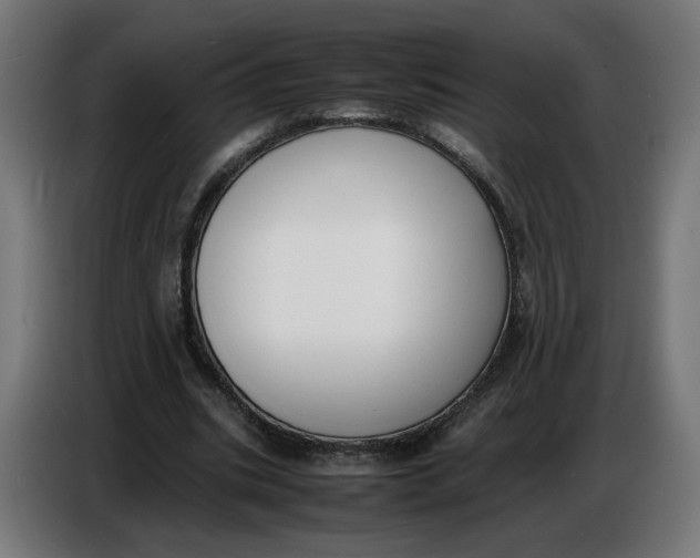 X0000086720535200705041329