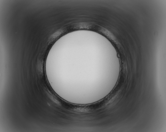 X0000086720537200705041329