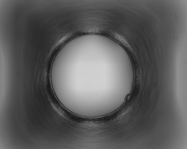 X0000086720538200705041329