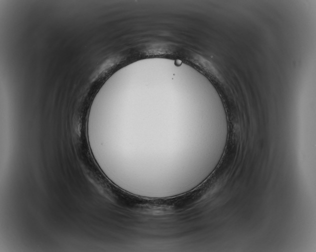 X0000086720539200705041329