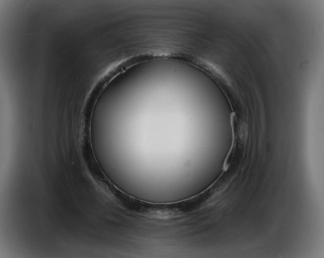 X0000086720540200705041329