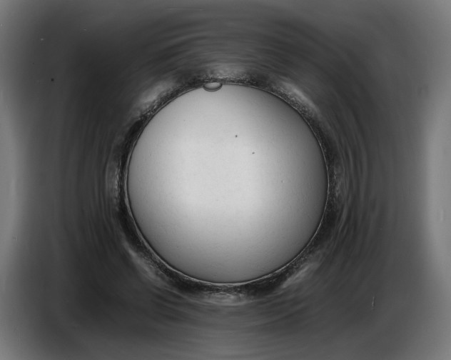 X0000086720542200705041329