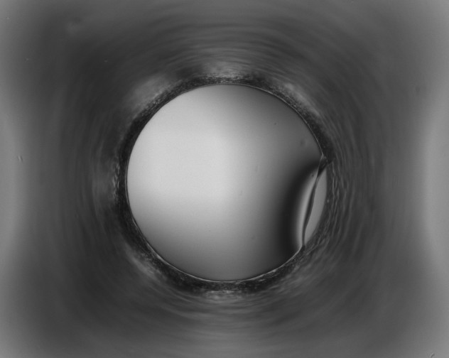 X0000086720544200705041330
