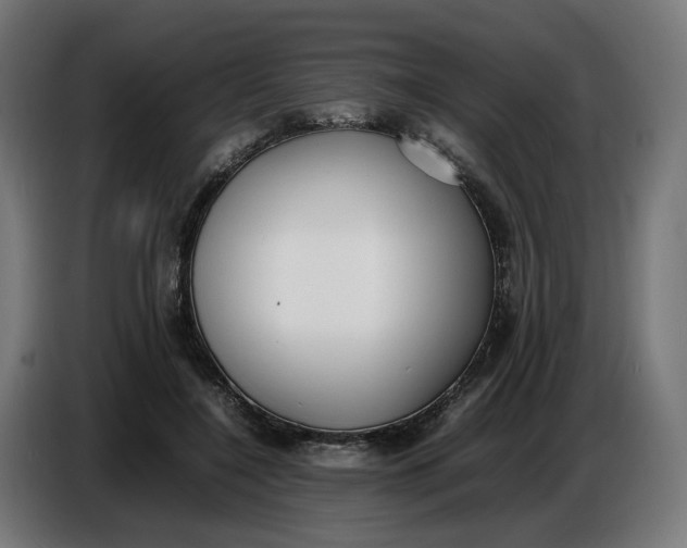 X0000086720548200705041330