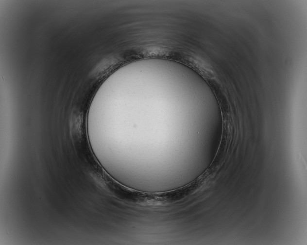 X0000086720550200705041330