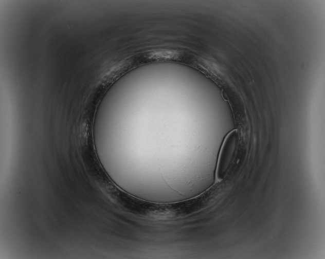 X0000086720551200705041330
