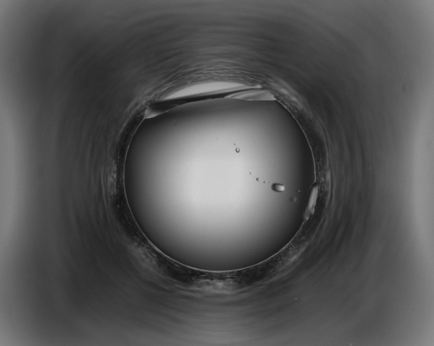 X0000086720552200705041330