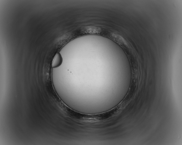 X0000086720553200705041330