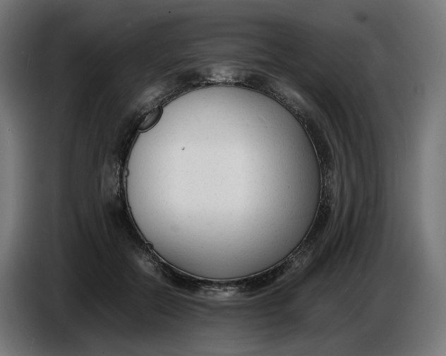 X0000086720554200705041330