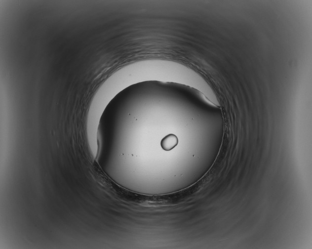 X0000086720556200705041330