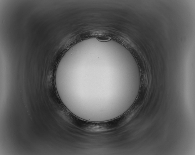 X0000086720557200705041330