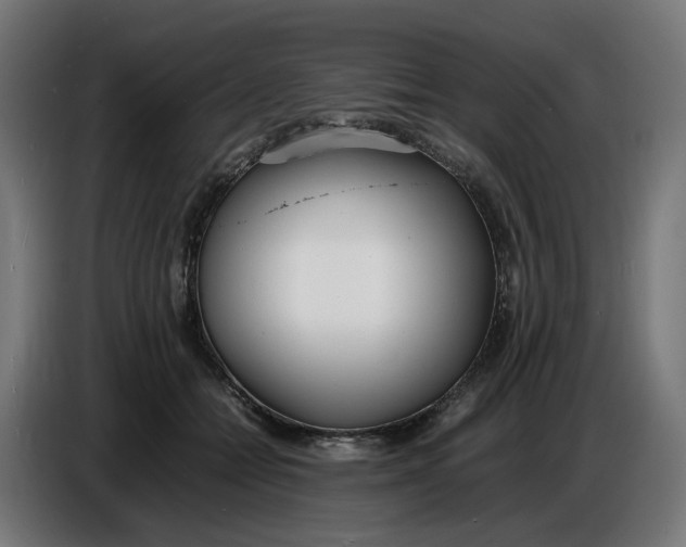 X0000086720558200705041330
