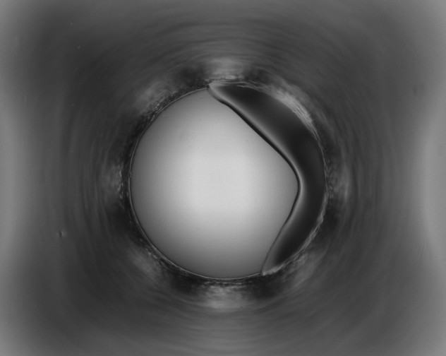X0000086720560200705041330