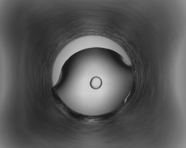 X0000086720564200705041330