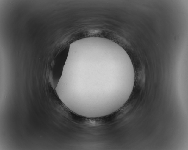 X0000086720565200705041330