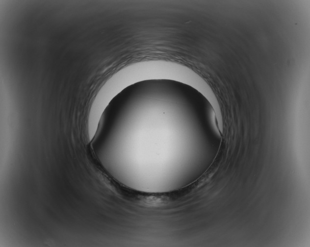X0000086720566200705041330