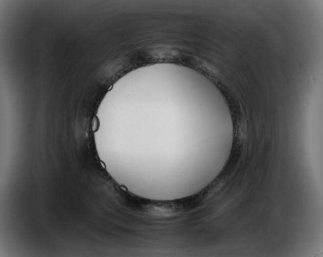 X0000086720567200705041330