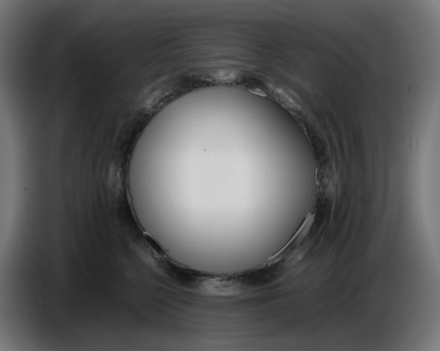 X0000086720568200705041330