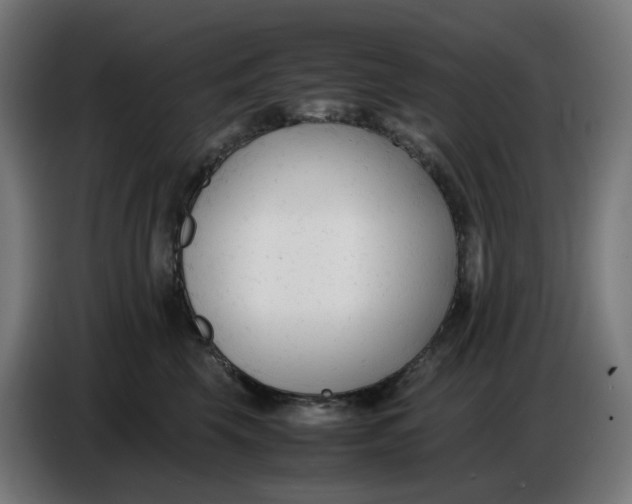 X0000086720569200705041330