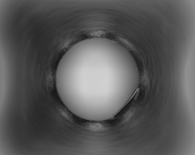 X0000086720572200705041330